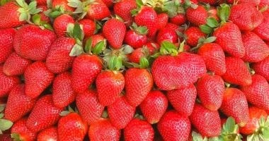 أطعمة تعالج نقص فيتامين سي