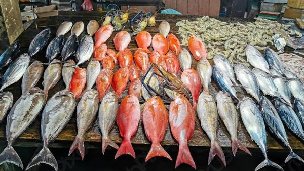 أسعار السمك في مصر صباح الأحد 22 مارس 2026