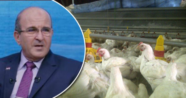 تمويل الثروة الحيوانية من البنوك: الشروط وطريقة التقديم