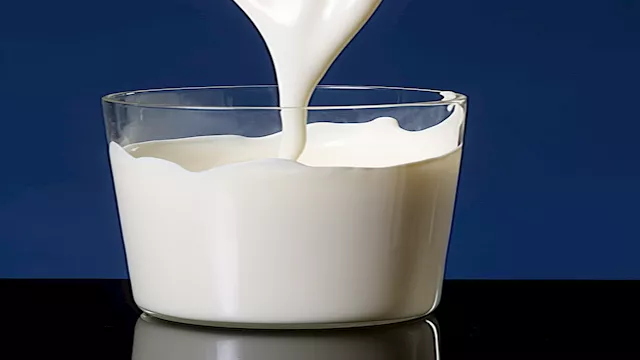 فوائد حليب الإبل لصحة القلب والدماغ