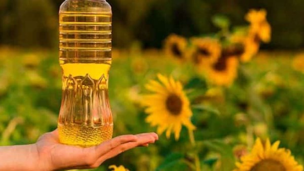 ليس مجرد زيت للقلي: فوائد غير متوقعة لزيت عباد الشمس