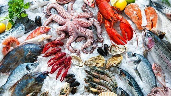 أسعار السمك في مصر اليوم الاثنين 23 مارس 2026: سعر البلطي