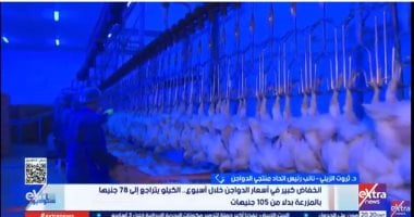 ثروت الزيني: انخفاض سعر الدواجن إلى 78 جنيها بسبب زيادة المعروض