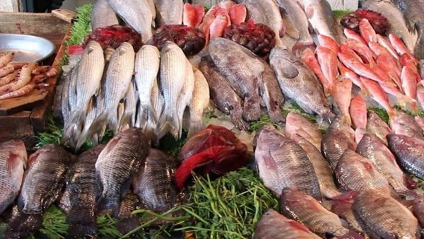 أسعار السمك في مصر مساء الخميس 26 مارس 2026