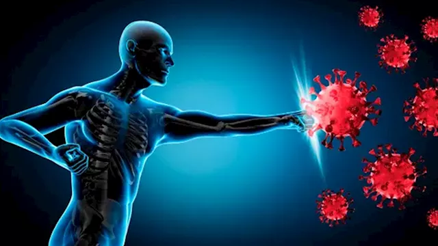 ثلاثة أطعمة طبيعية تعزز مناعتك ضد الفيروسات