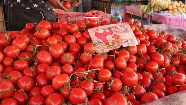 أسعار الخضروات والفواكه في سوق العبور للجملة اليوم السبت 28-3-2026