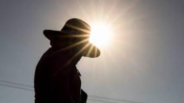 ضعف العظام والمفاصل: ماذا يحدث للجسم عند عدم التعرض للشمس؟