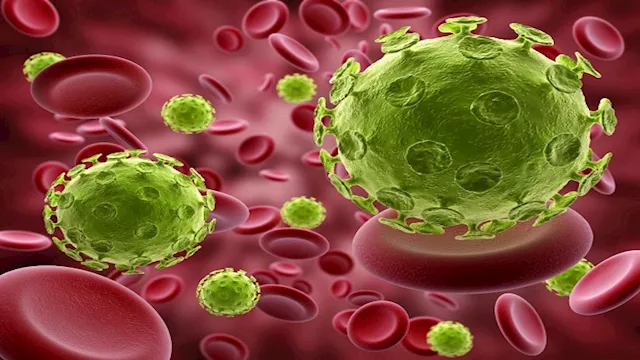 الغدة الزعترية: هل تحمي من أمراض القلب والسرطان؟