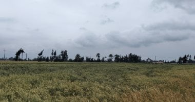 هيئة الأرصاد: سحب رعدية مطرية تتكاثر في جنوب سيناء