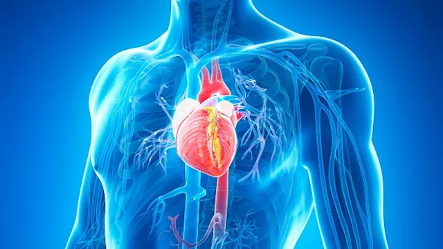 نصائح فعالة لخفض ضغط الدم والوقاية من أمراض القلب