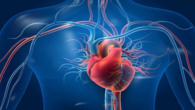 9 أطعمة تقوي صحة القلب وتحمي من الأمراض